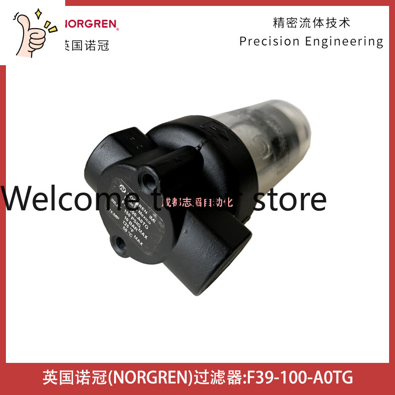 Woodworking Uk - 2026 F39-100-A0TG UK NORGREN Фильтр IMI